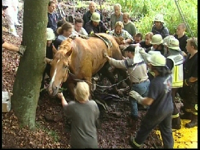 Die_Rettung_verlief_erfogreich_142_.jpg, 27.08.2006, 112 kB