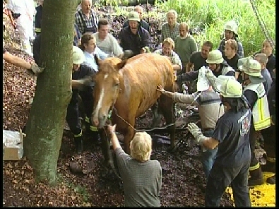 Die_Rettung_verlief_erfogreich_143_.jpg, 27.08.2006, 114 kB