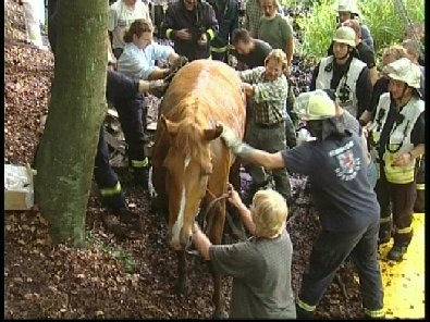 Die_Rettung_verlief_erfogreich_146_.jpg, 27.08.2006, 113 kB