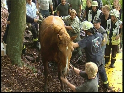 Die_Rettung_verlief_erfogreich_149_.jpg, 27.08.2006, 113 kB