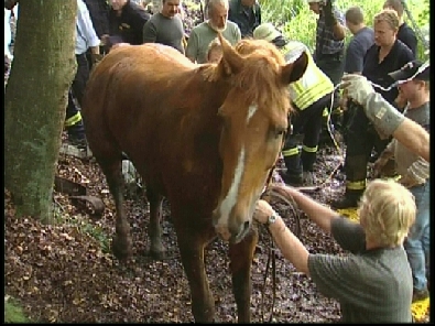 Die_Rettung_verlief_erfogreich_158_.jpg, 27.08.2006, 108 kB