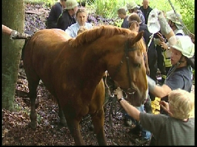 Die_Rettung_verlief_erfogreich_159_.jpg, 27.08.2006, 104 kB