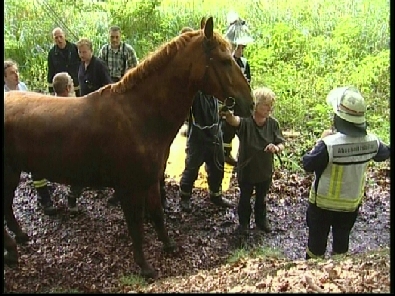 Die_Rettung_verlief_erfogreich_168_.jpg, 27.08.2006, 114 kB