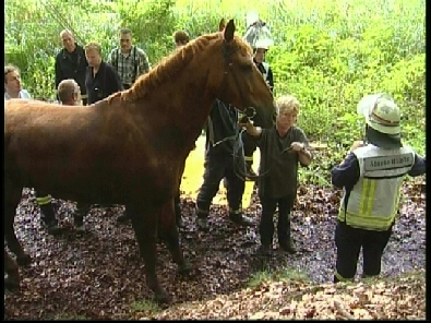 Die_Rettung_verlief_erfogreich_169_.jpg, 27.08.2006, 115 kB