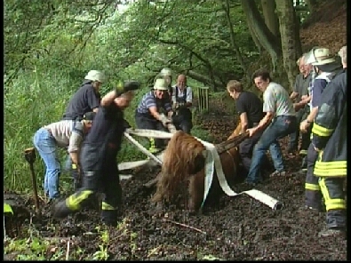 Die_Rettung_verlief_erfogreich_16_.jpg, 27.08.2006, 115 kB