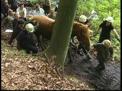 Die_Rettung_verlief_erfogreich_174_.jpg, 27.08.2006, 116 kB