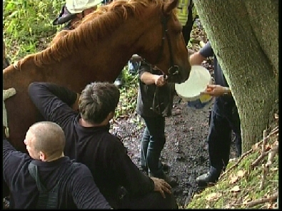 Die_Rettung_verlief_erfogreich_183_.jpg, 27.08.2006, 104 kB