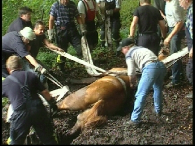 Die_Rettung_verlief_erfogreich_39_.jpg, 27.08.2006, 107 kB