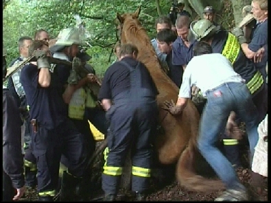 Die_Rettung_verlief_erfogreich_85_.jpg, 27.08.2006, 100 kB